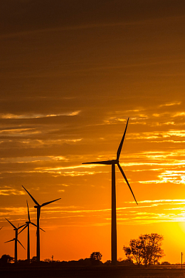 Wind turbines in a field with sun setting in the background